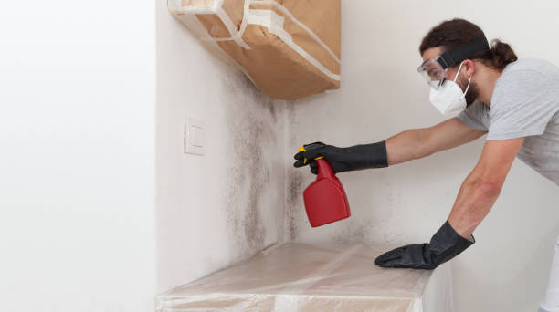 Professional Commercial Mold Remediation technician working in Kingston, NY