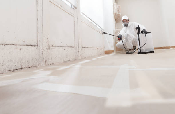 24/7 Emergency Commercial Mold Remediation experts in Kingston, NY